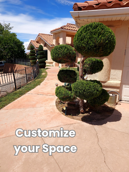 Custom topiary tree shaping Saint George UT